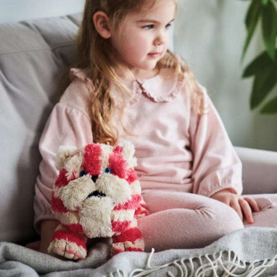 Bagpuss Warmies