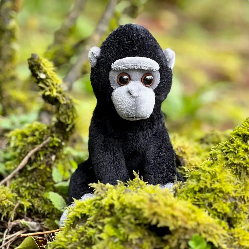 Gorilla Cuddle Cubs