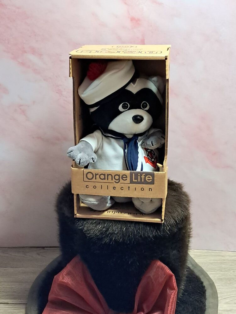 Denny the Raccoon Sailor