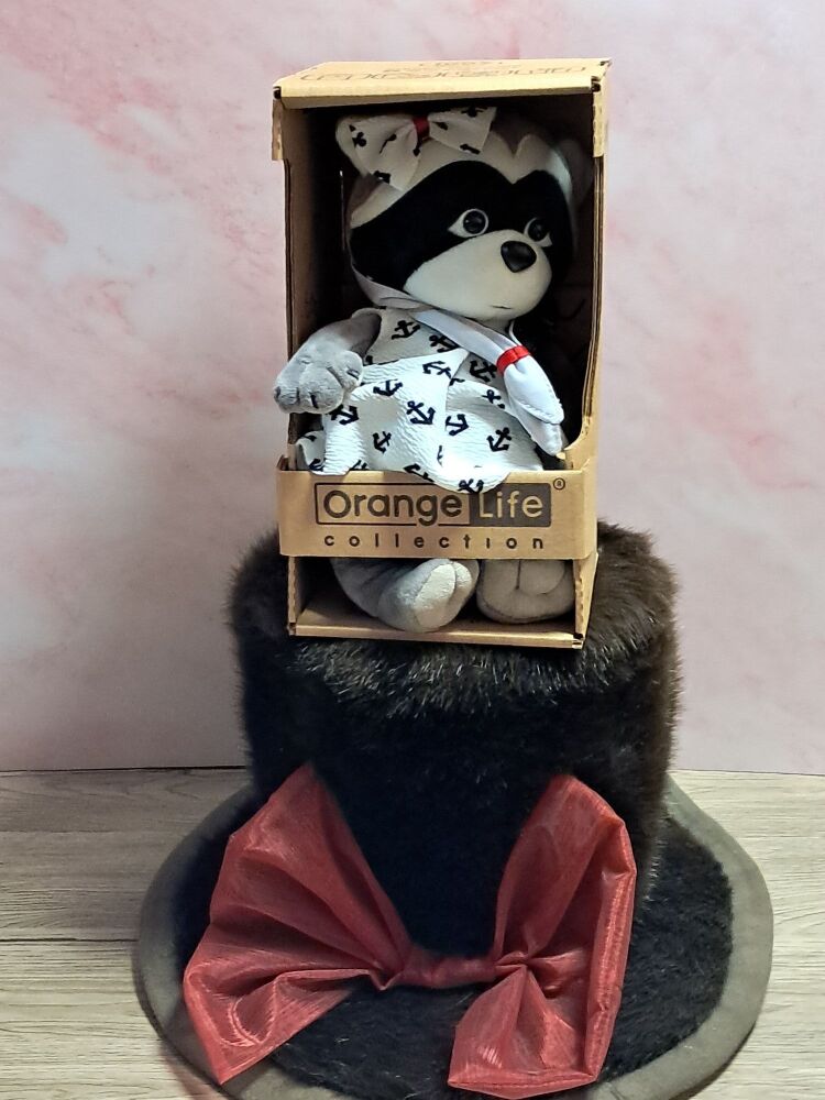 Daisy the Raccoon Sailor