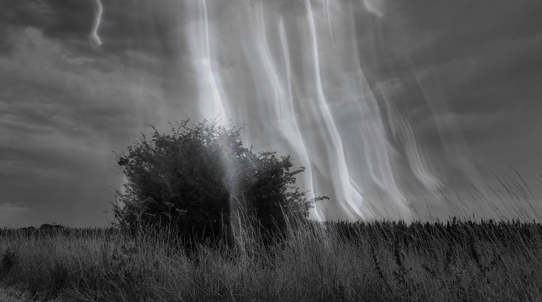 Screenshot 2025-03-30 094912.jpg