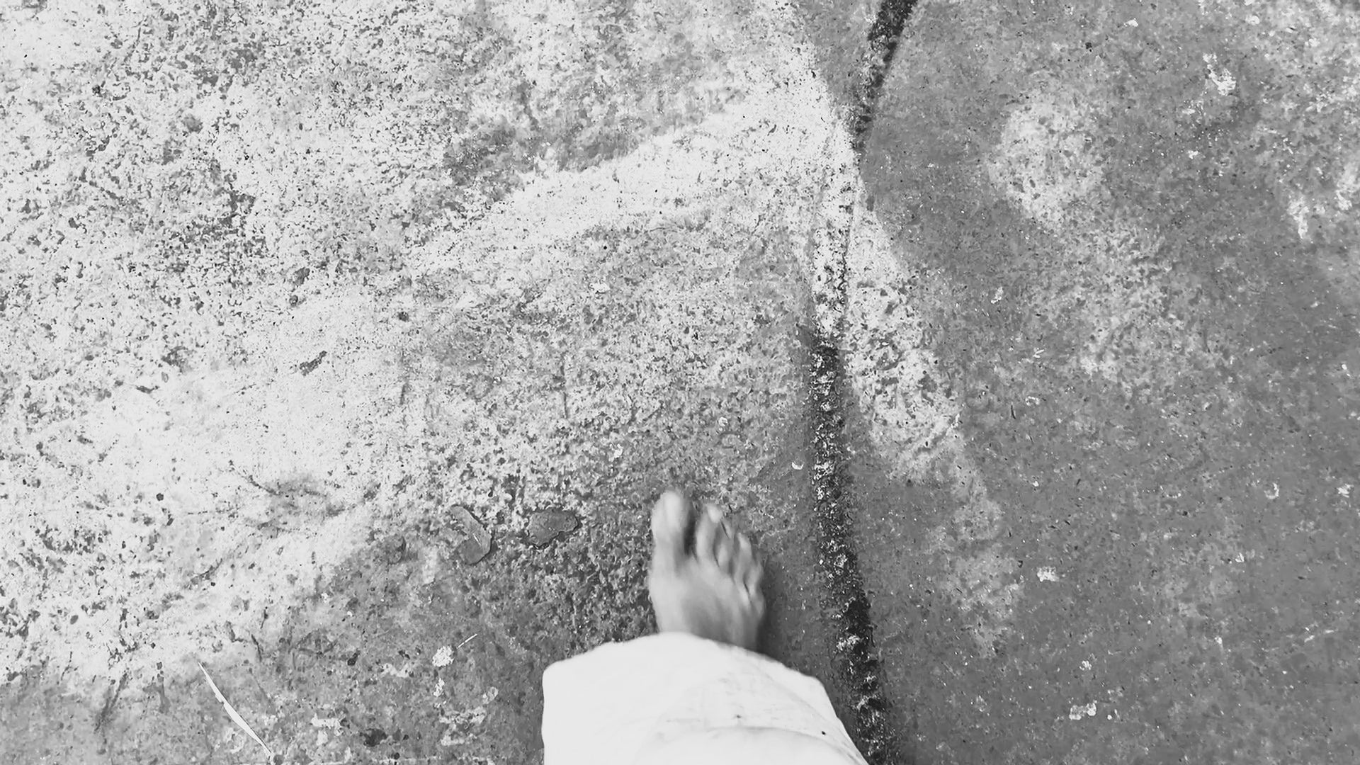 Circle video still b&w.jpg