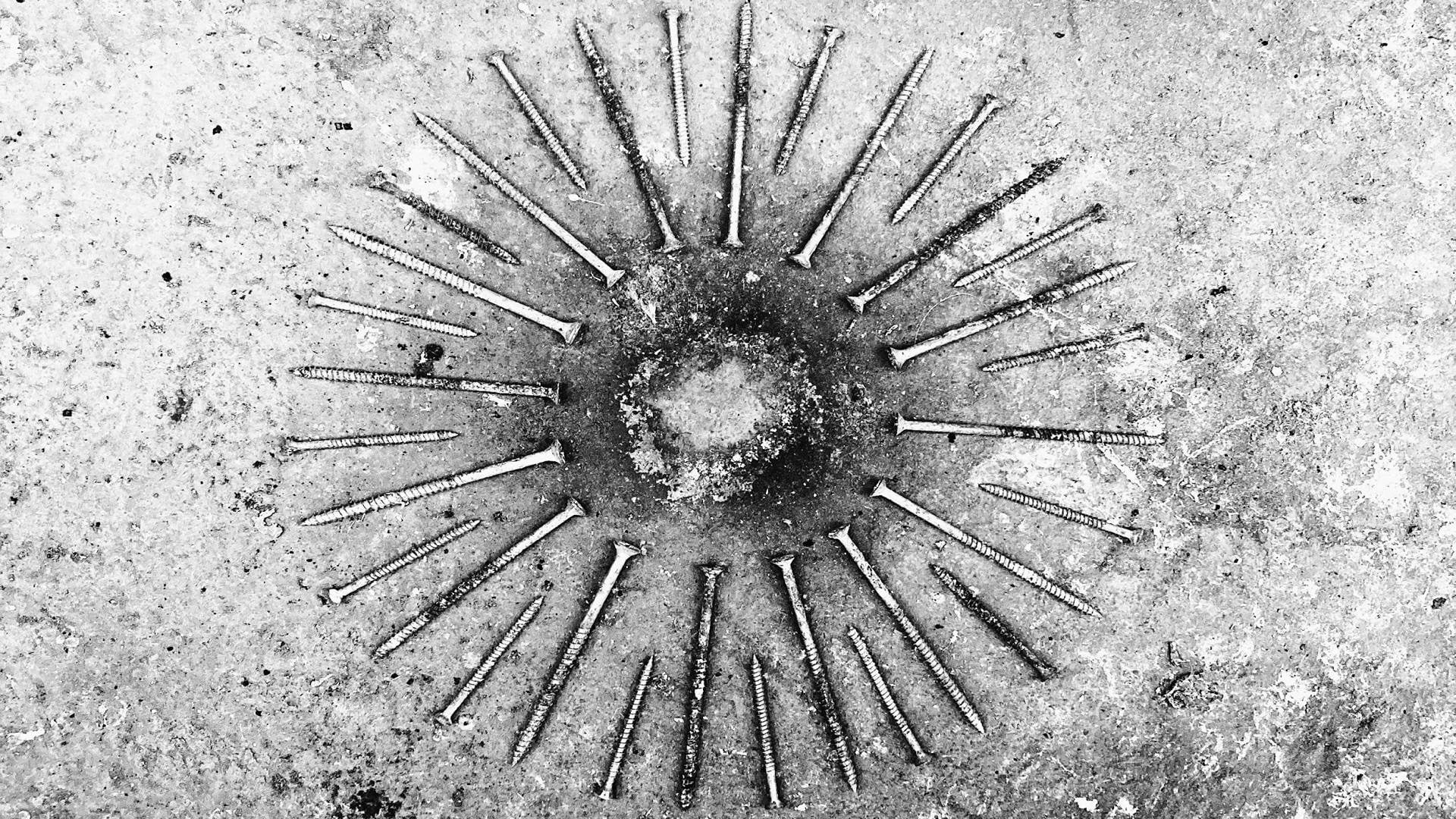 Slideshow Final - HARI Re-View Residency 2024 - Louisa Chase (11).jpg