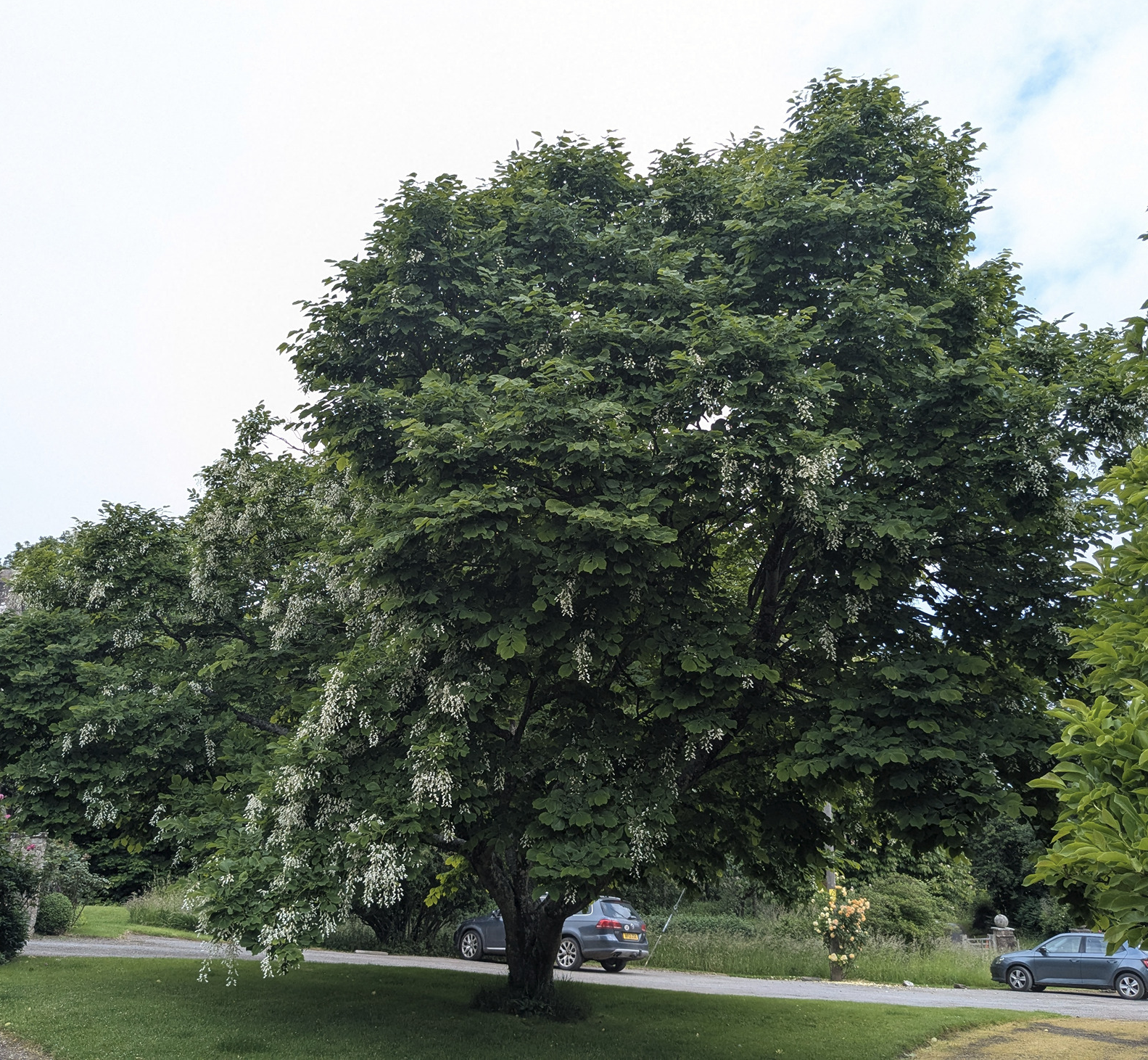 PXL_20250610_093005061