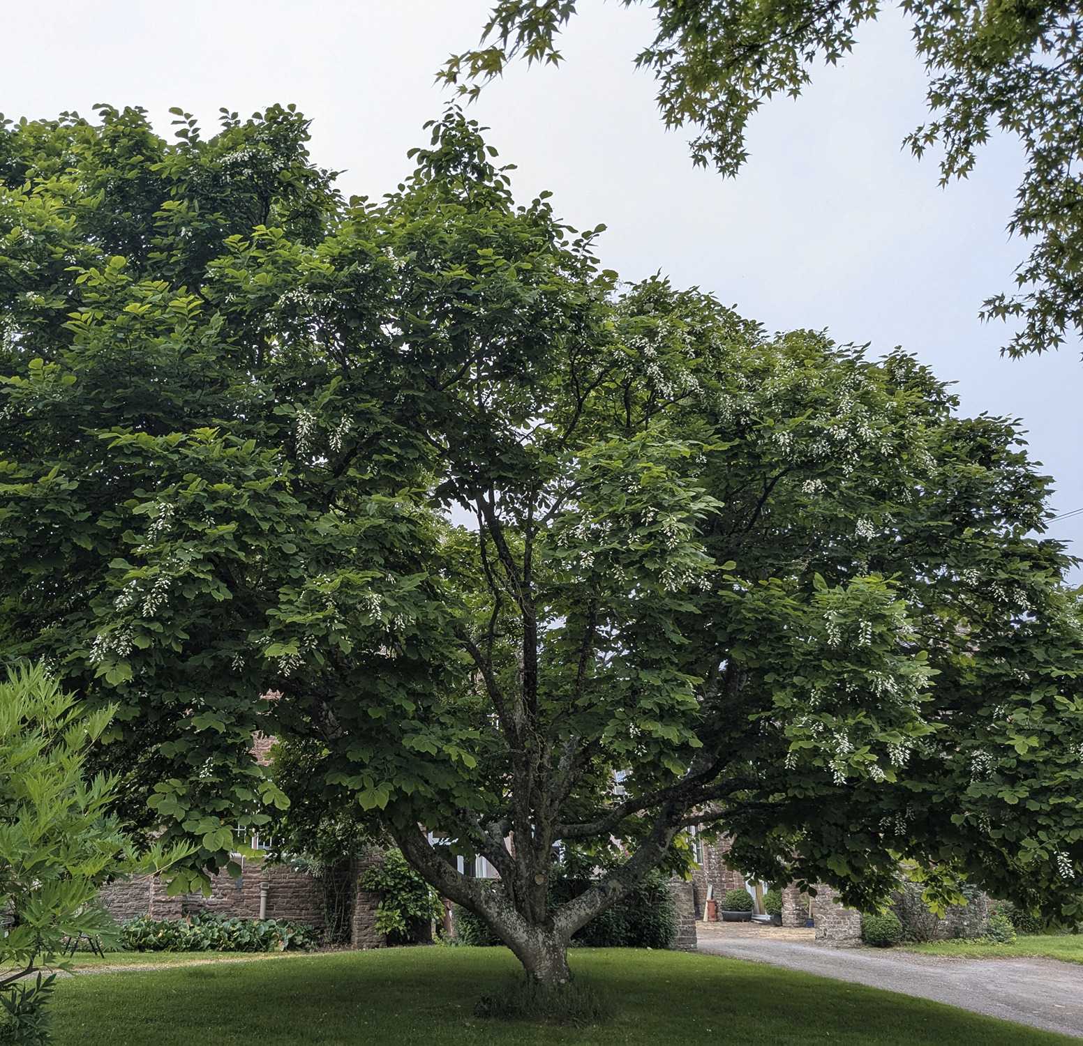 PXL_20250610_092933224
