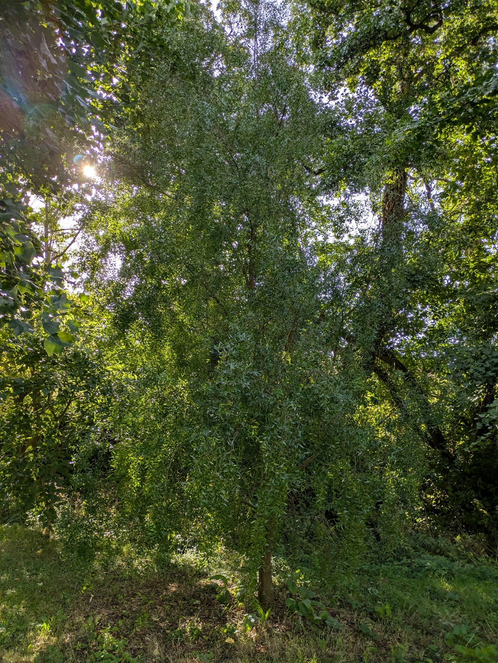 PXL_20250908_083222483.jpg
