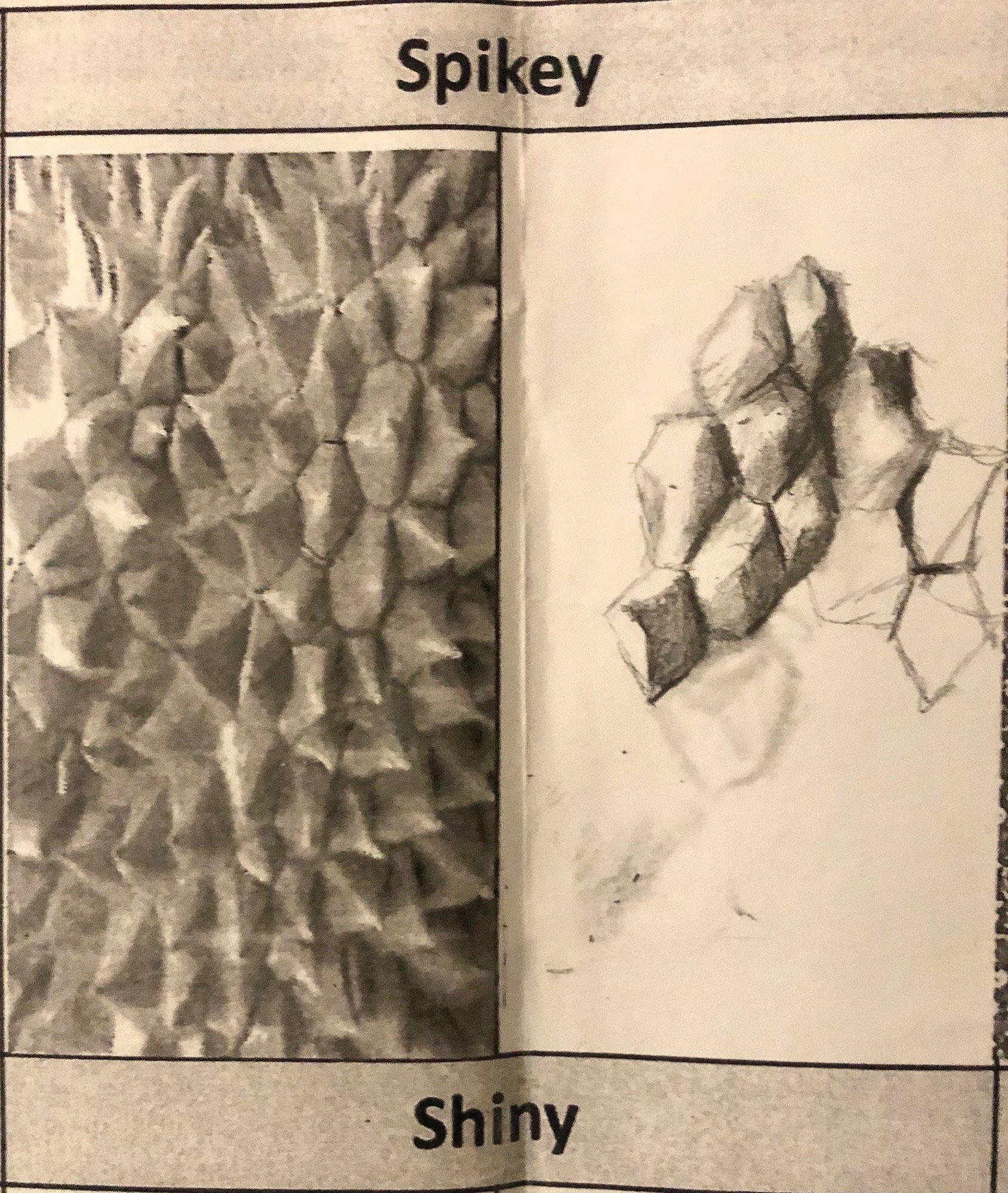 basic drawing techniques x2.jpeg