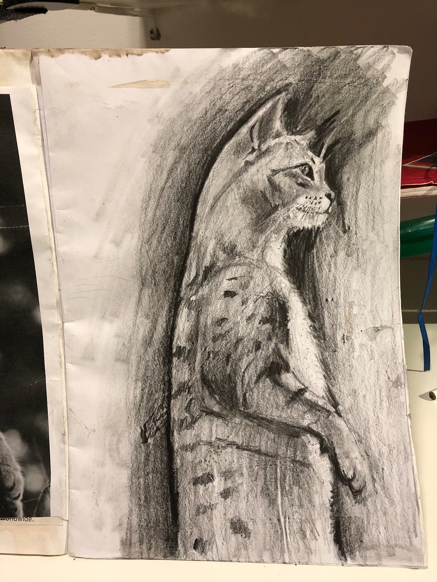 Tonal pencil drawing.jpeg