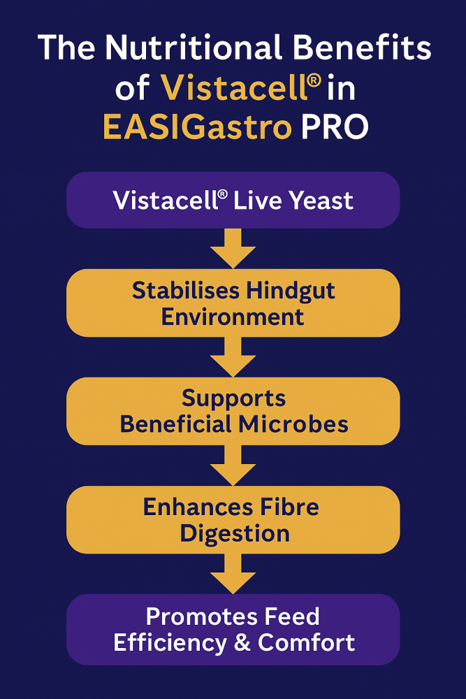 EASIGastro Pro