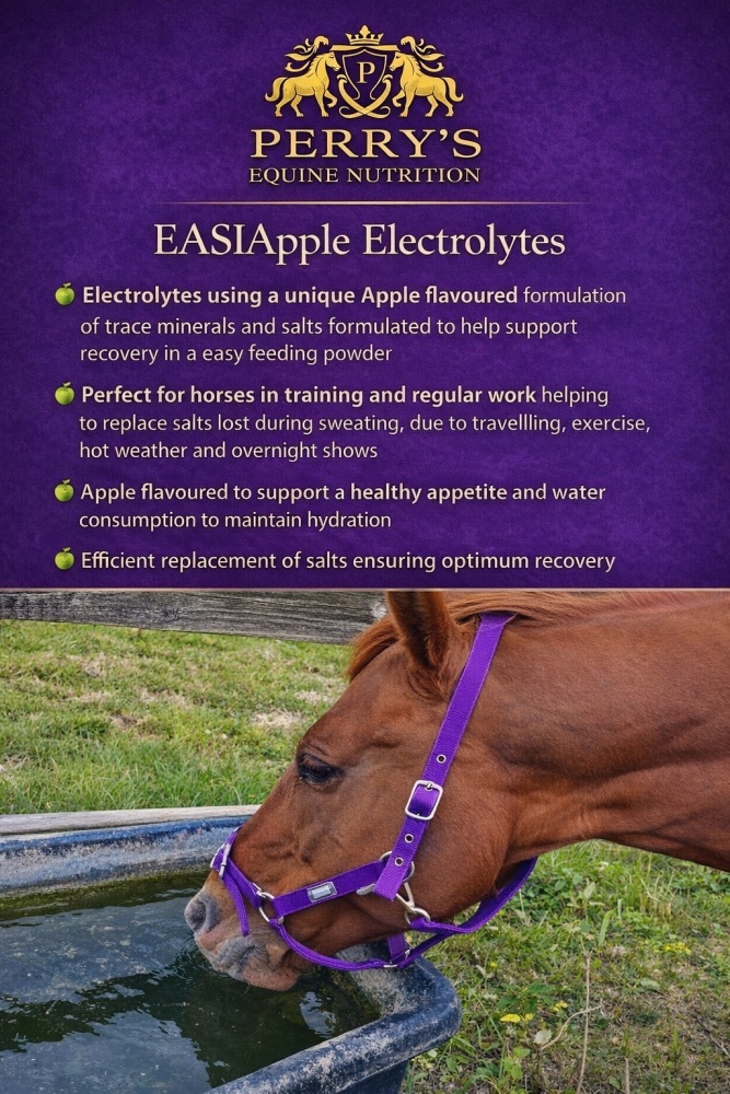 EASIApple Electrolytes &eth;
