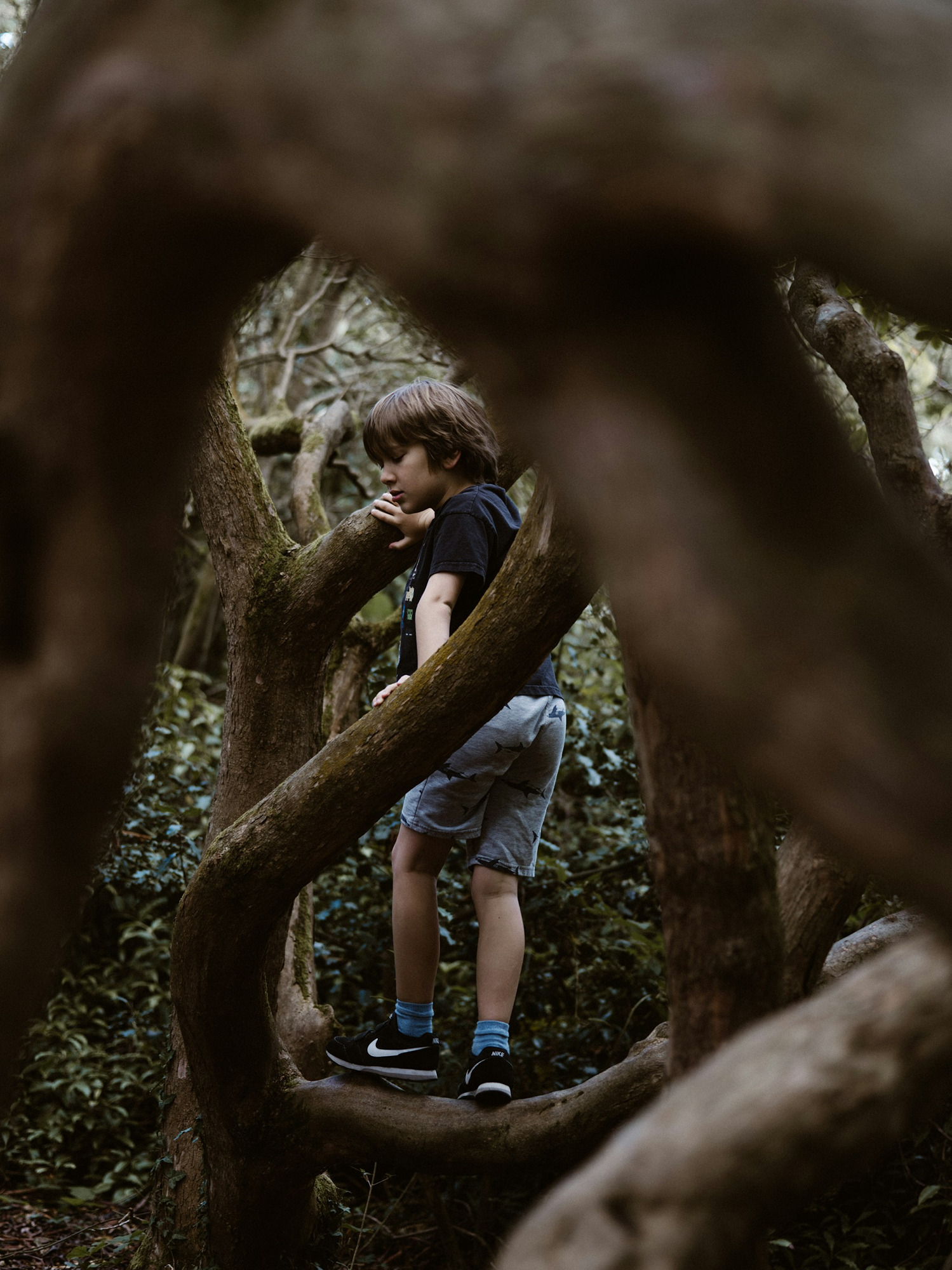 boy-standing-on-tree-branch-senzEsY1h08.jpg