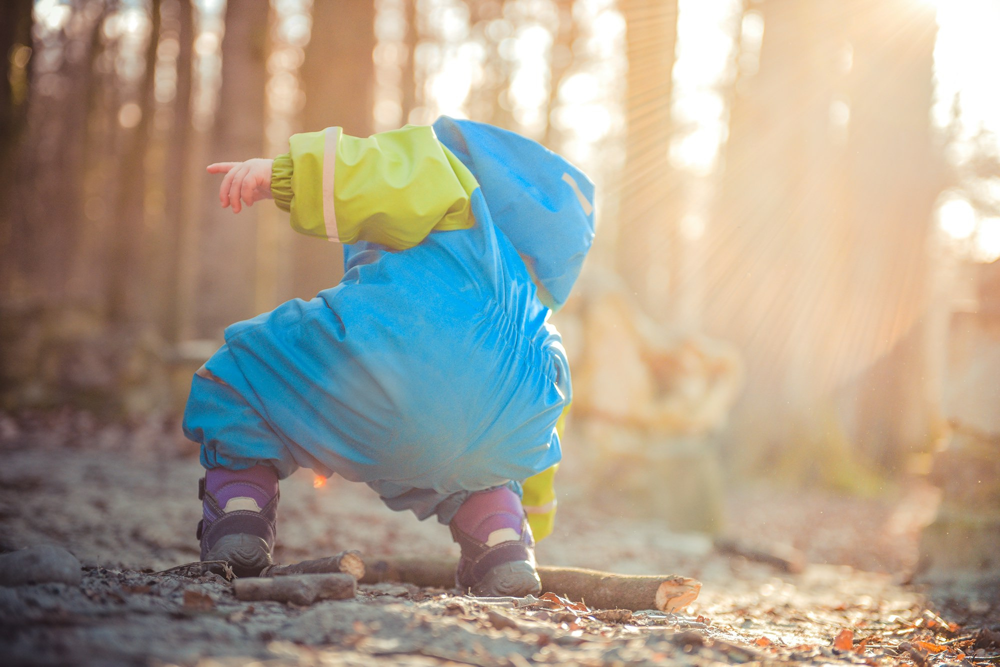 toddler-picking-up-tree-branch-gZlsrMPwz0o.jpg