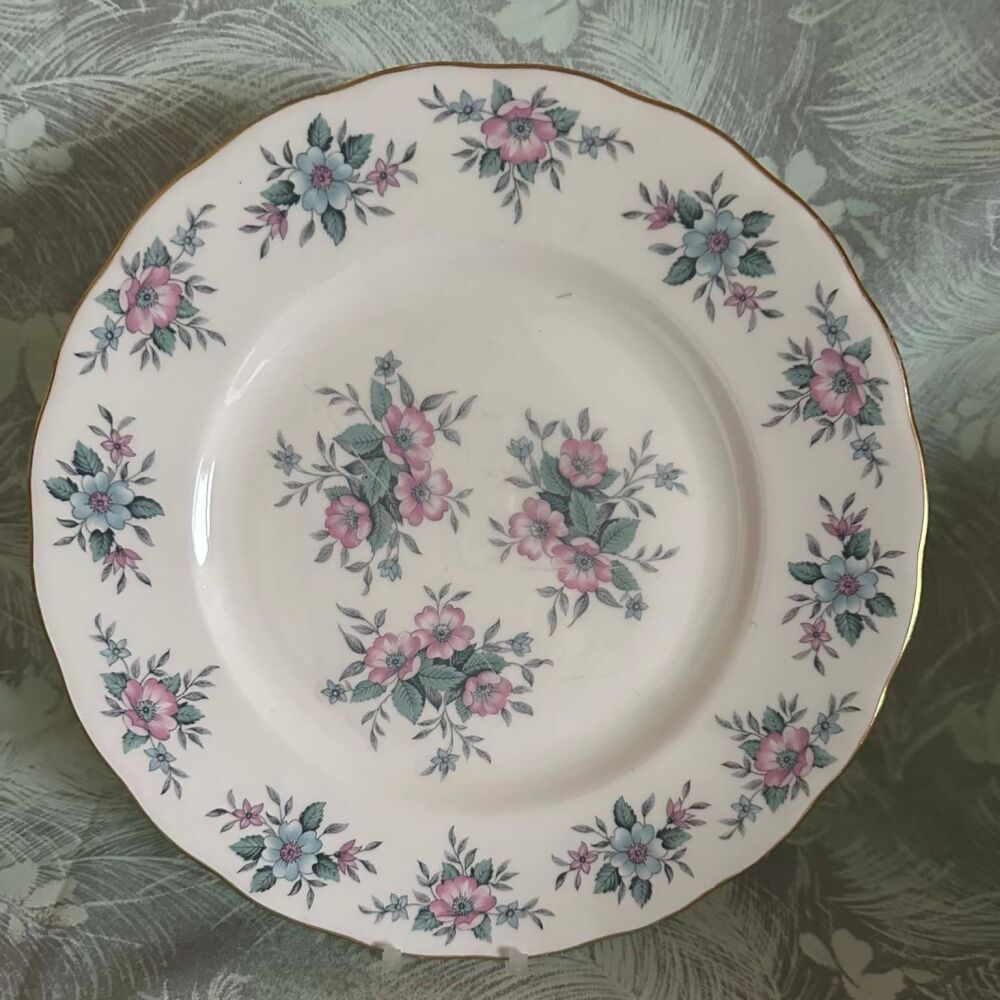 Colclough Coppelia 10½" Dinner Plate c.1960's. Individually priced. Several Available*