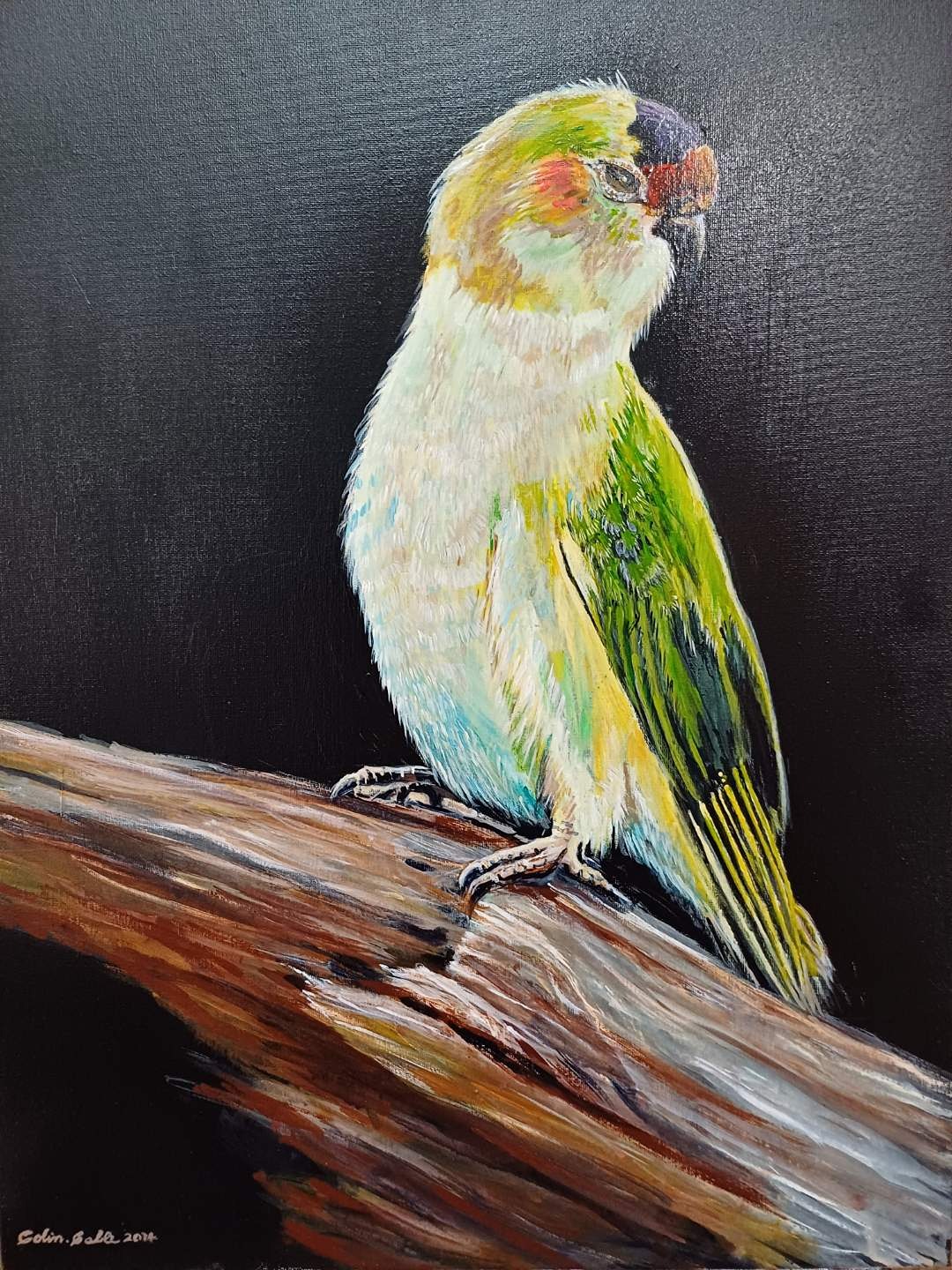 Colin Cable Artist Paintings 19