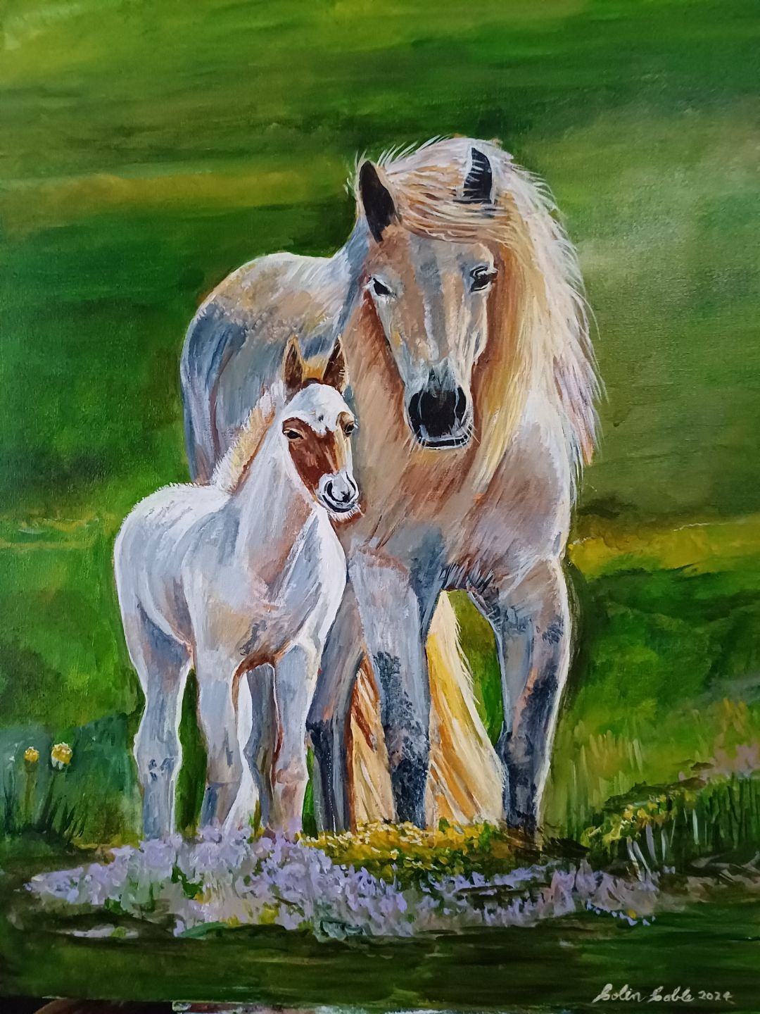 Wildlife Paintings Australia by Colin Cable Artist