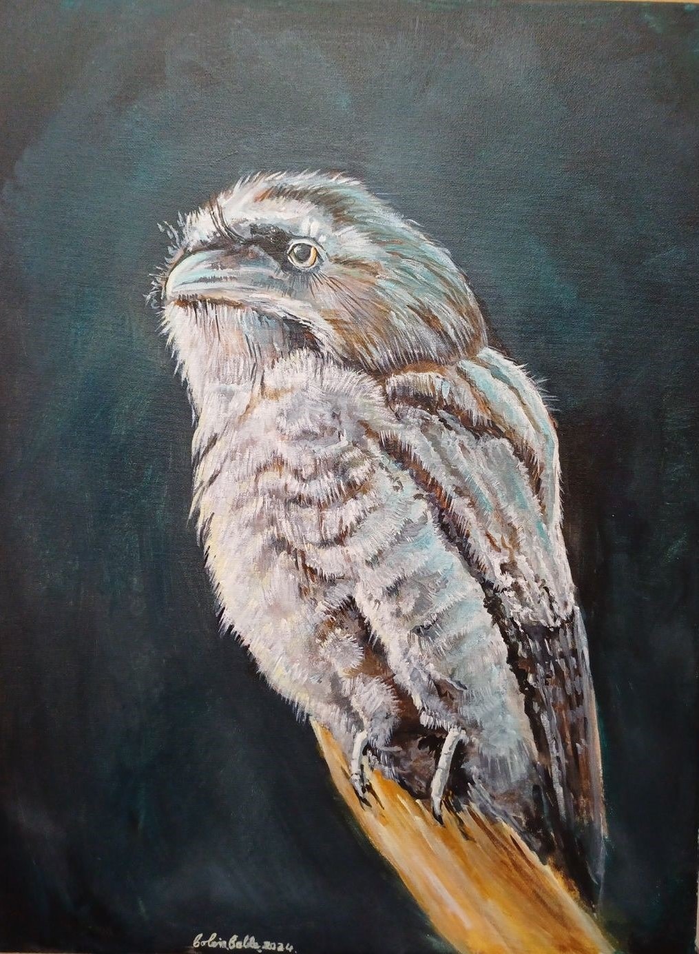 Flora and Fauna Paintings Australia by Colin Cable Artist