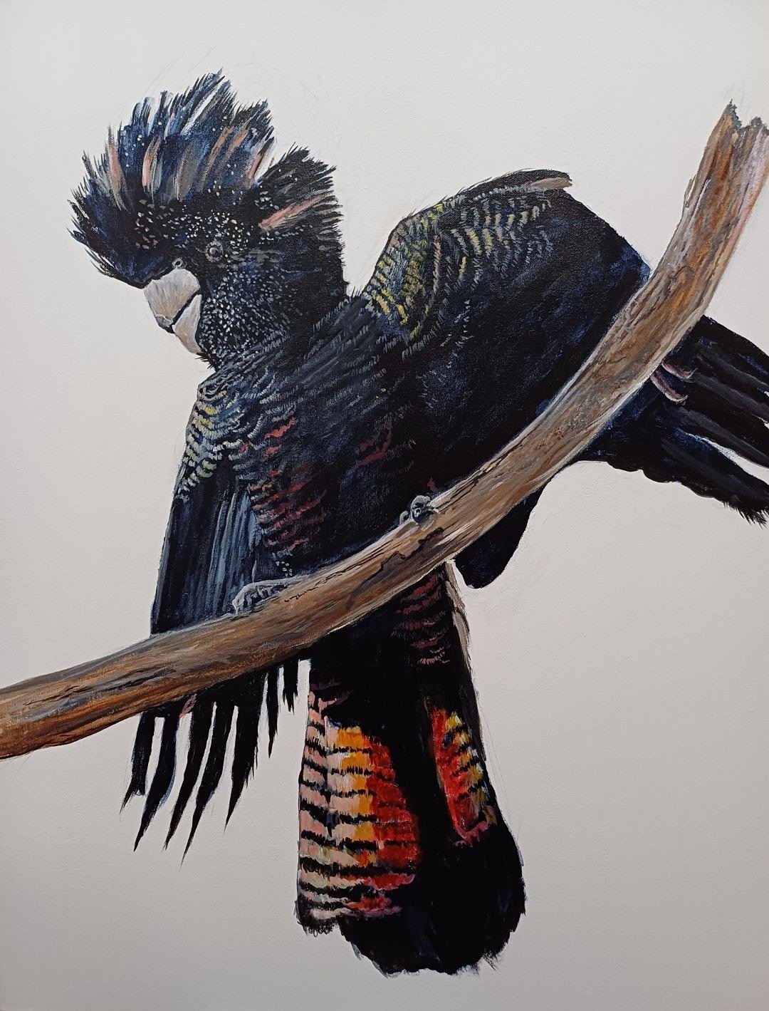 Australian Art - Parrots by Colin Cable Artist