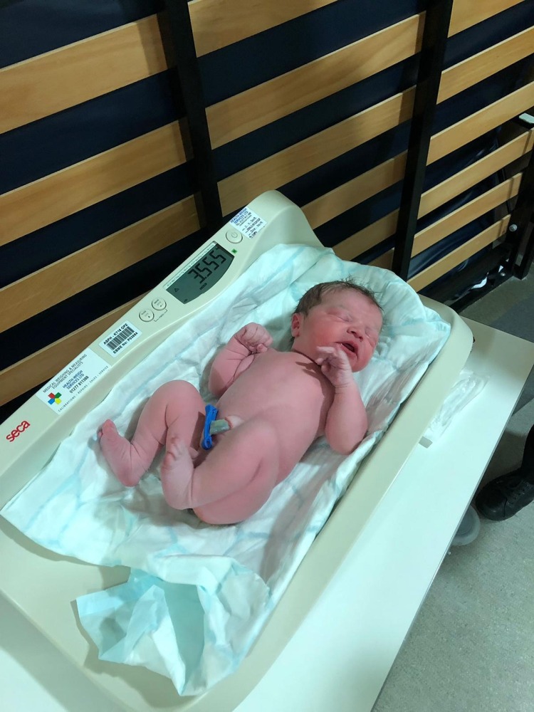 Doula Service Prices & Packages | Birth, Postnatal & Night Support