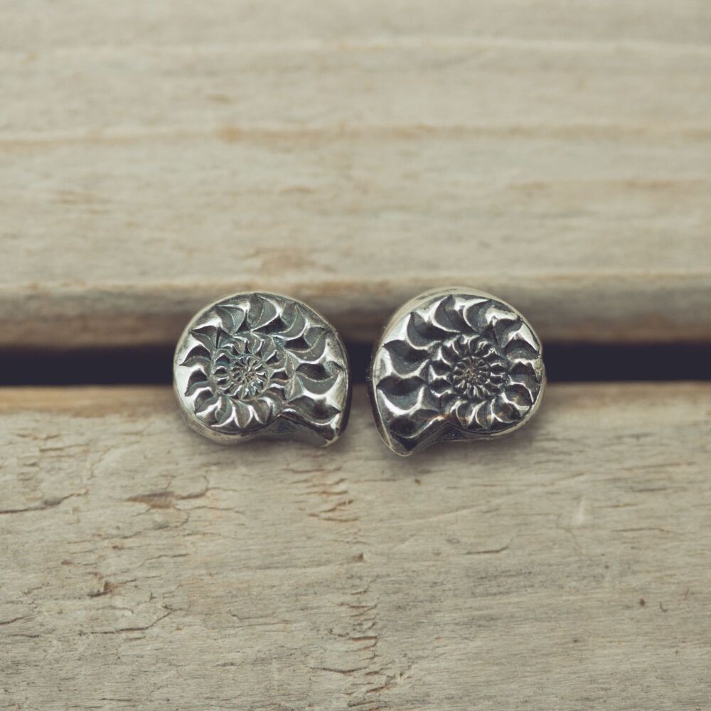 Ammonite Studs