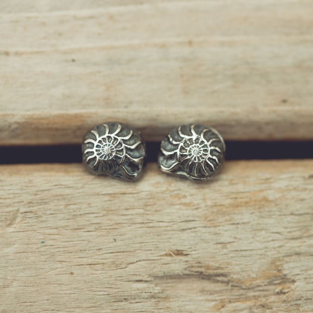 Tiny Ammonite Studs