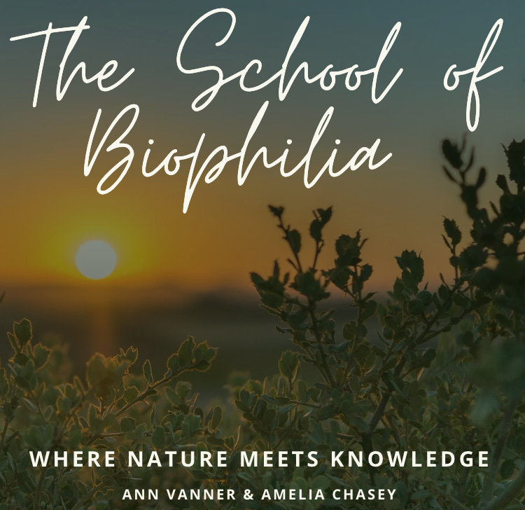 The School of Biophilia - Playbook
