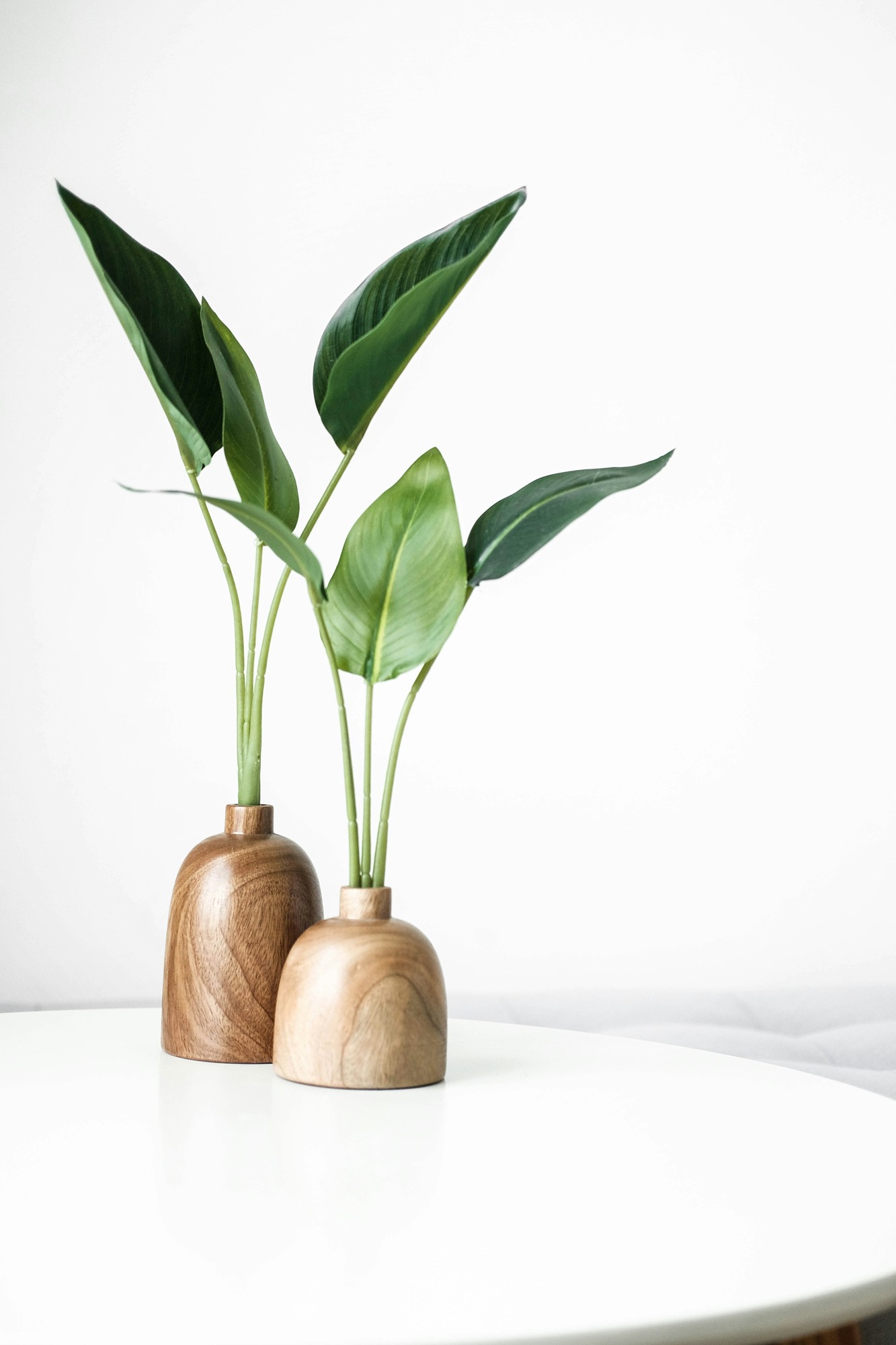 green-plant-on-brown-wooden-vase-Ebwp2-6BG8E
