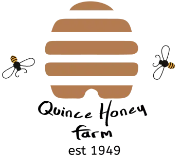 Logo-1