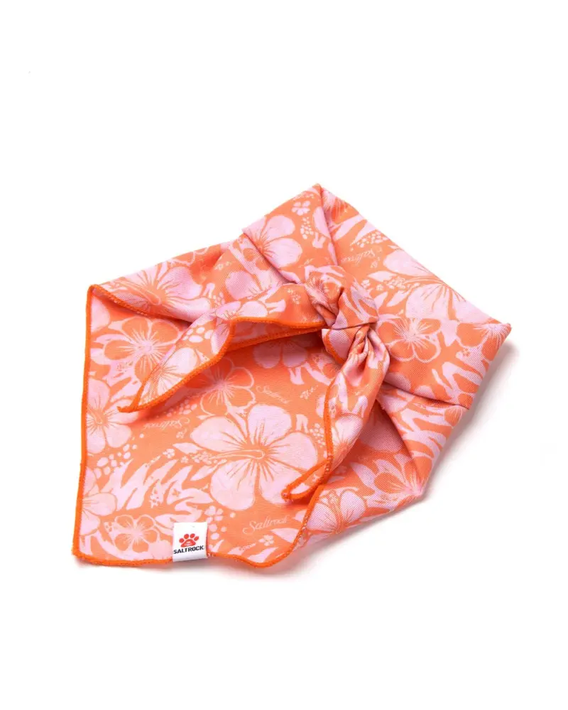 Saltrock Hibiscus - Dog Bandana - Orange ðŸ¾ðŸ¾