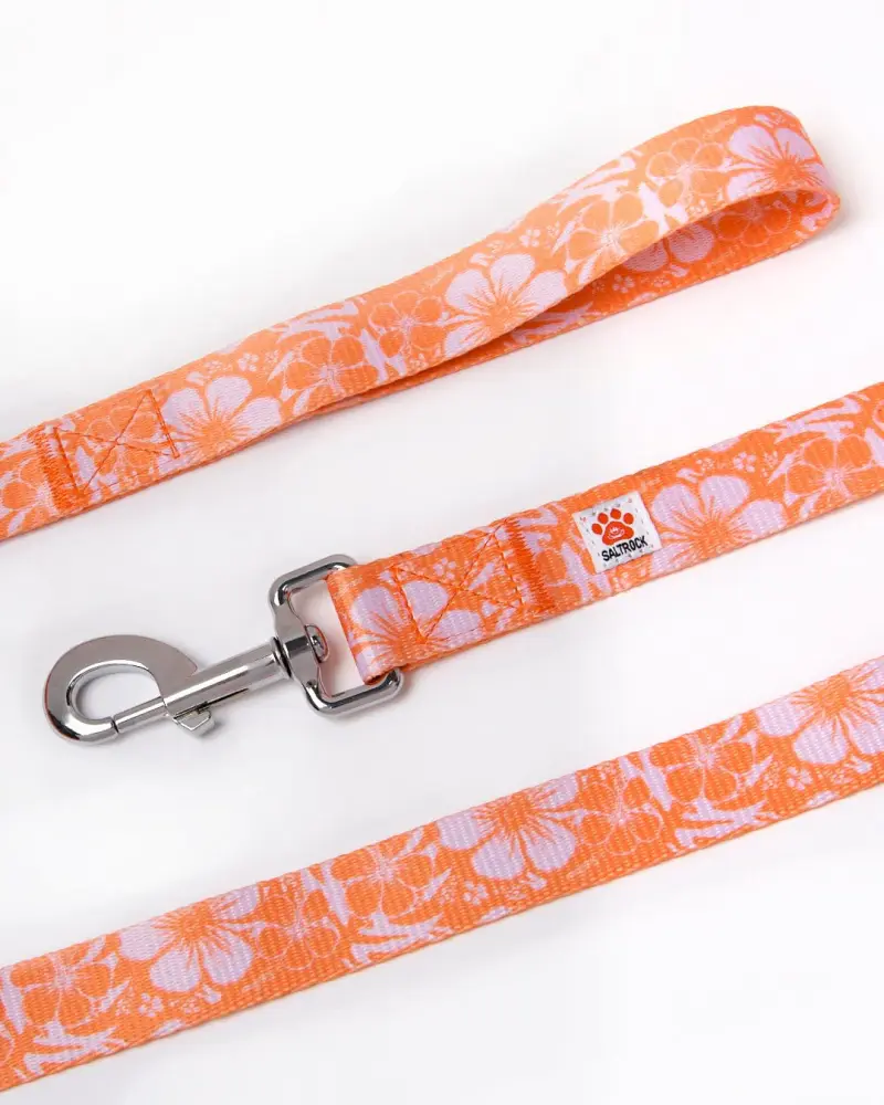 Saltrock Hibiscus - Dog Lead - Orange ðŸ¾ðŸ¾