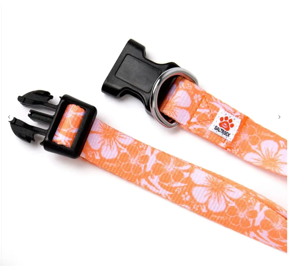 Saltrock Hibiscus - Dog Collar - Orange ðŸ¾ðŸ¾