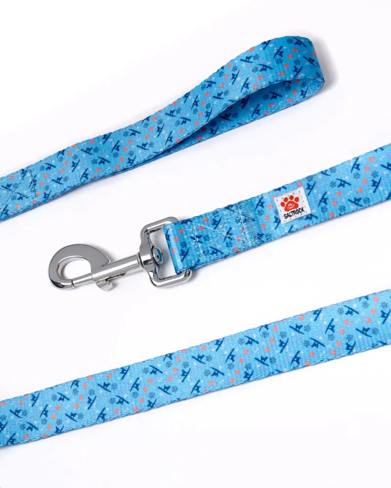 Saltrock Paw Print - Dog Lead - Blue ðŸ¾ðŸ¾