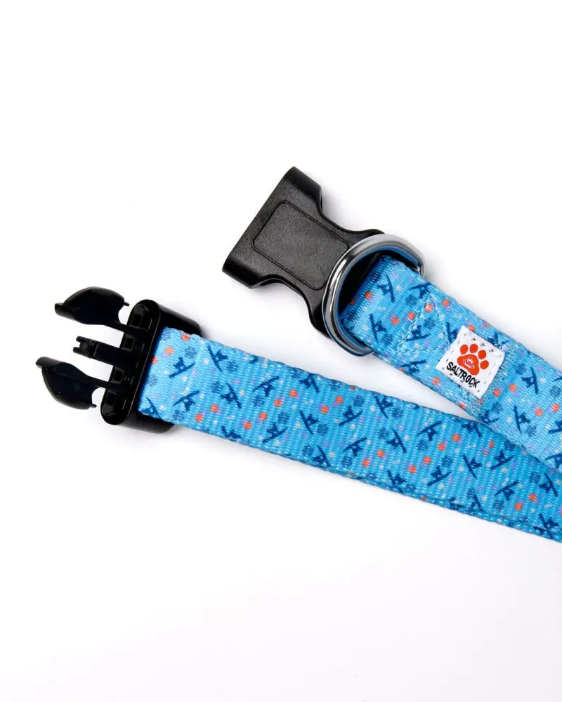 Saltrock Paw Print - Dog Collar - Blue ðŸ¾ðŸ¾