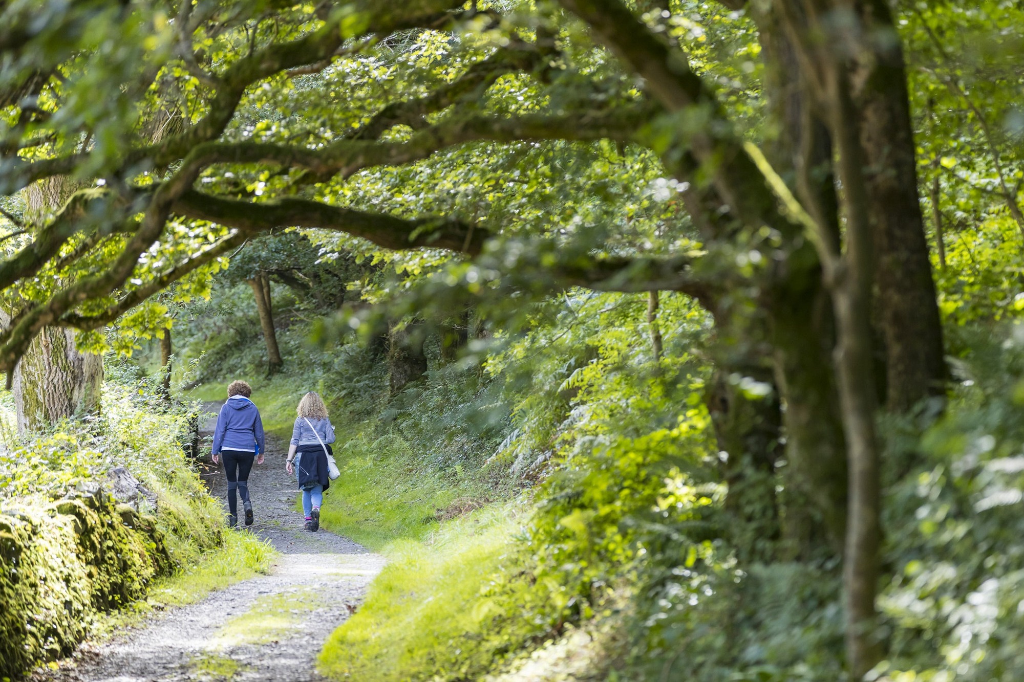 Heddon Valley to Woody Bay Walk - Lynmouth Hotels