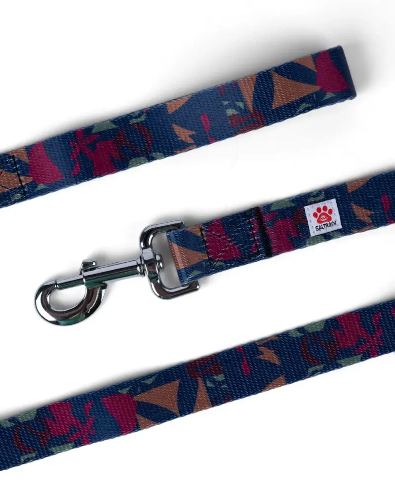 Saltrock Balance - Pet Lead - Blue
