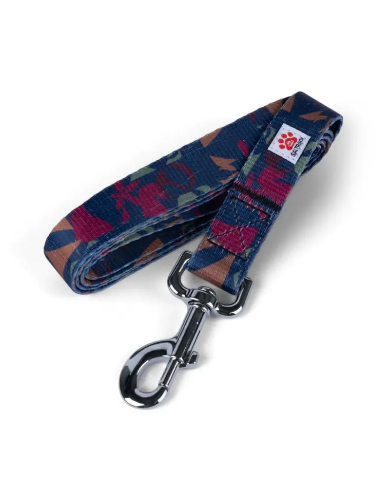 Saltrock Balance - Pet Lead - Blue