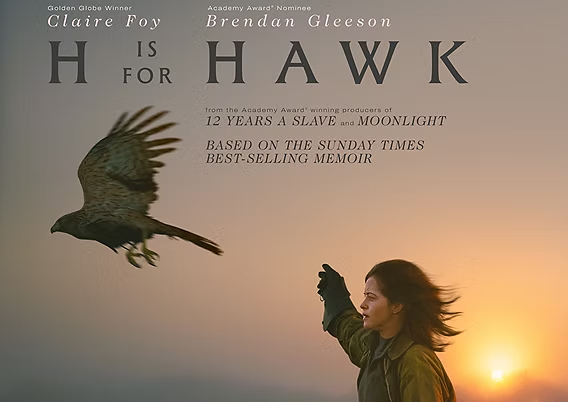 H IS FOR HAWK - Lynton Cinema - Lynmouth Hotels