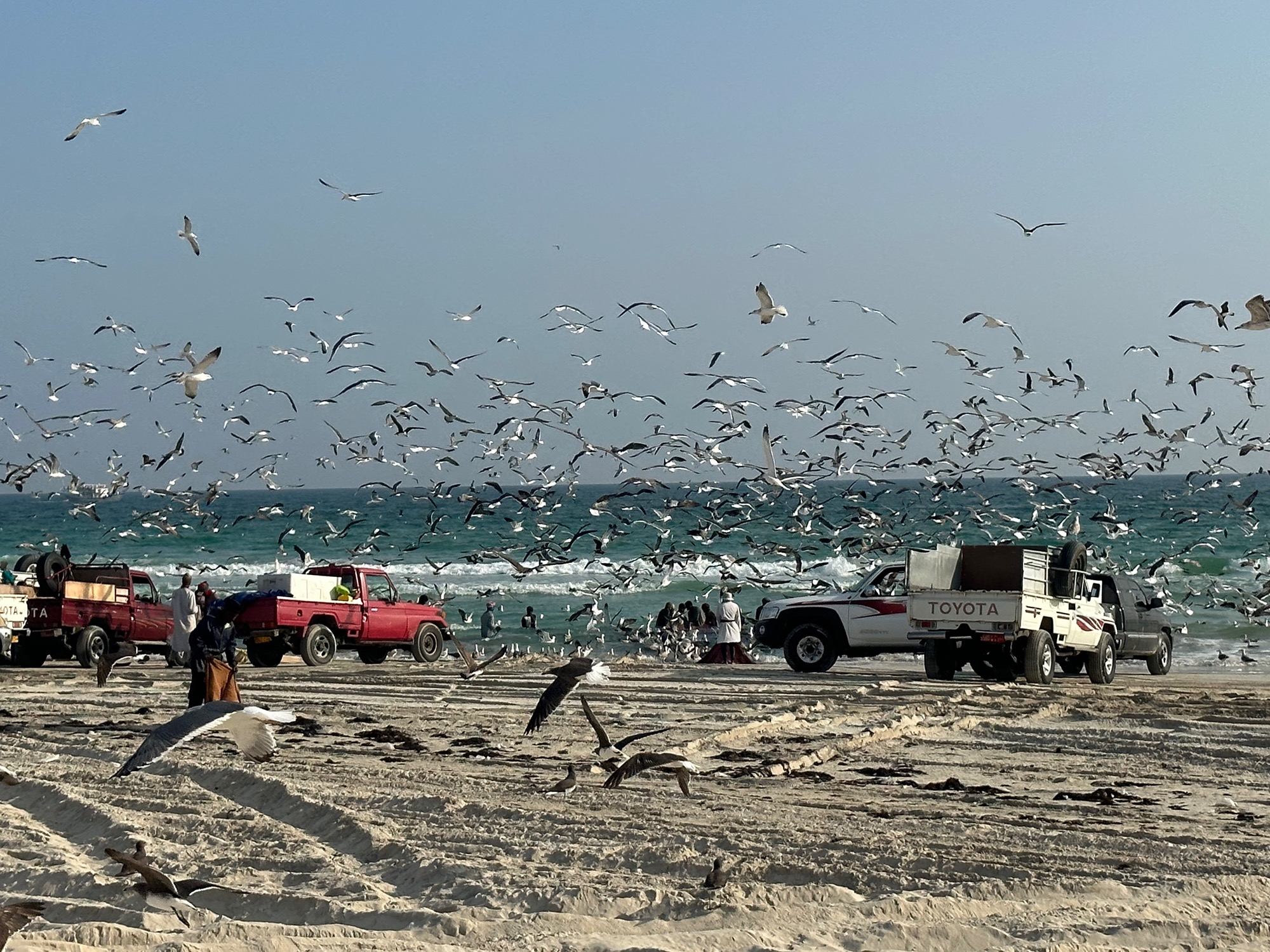 muscat beach