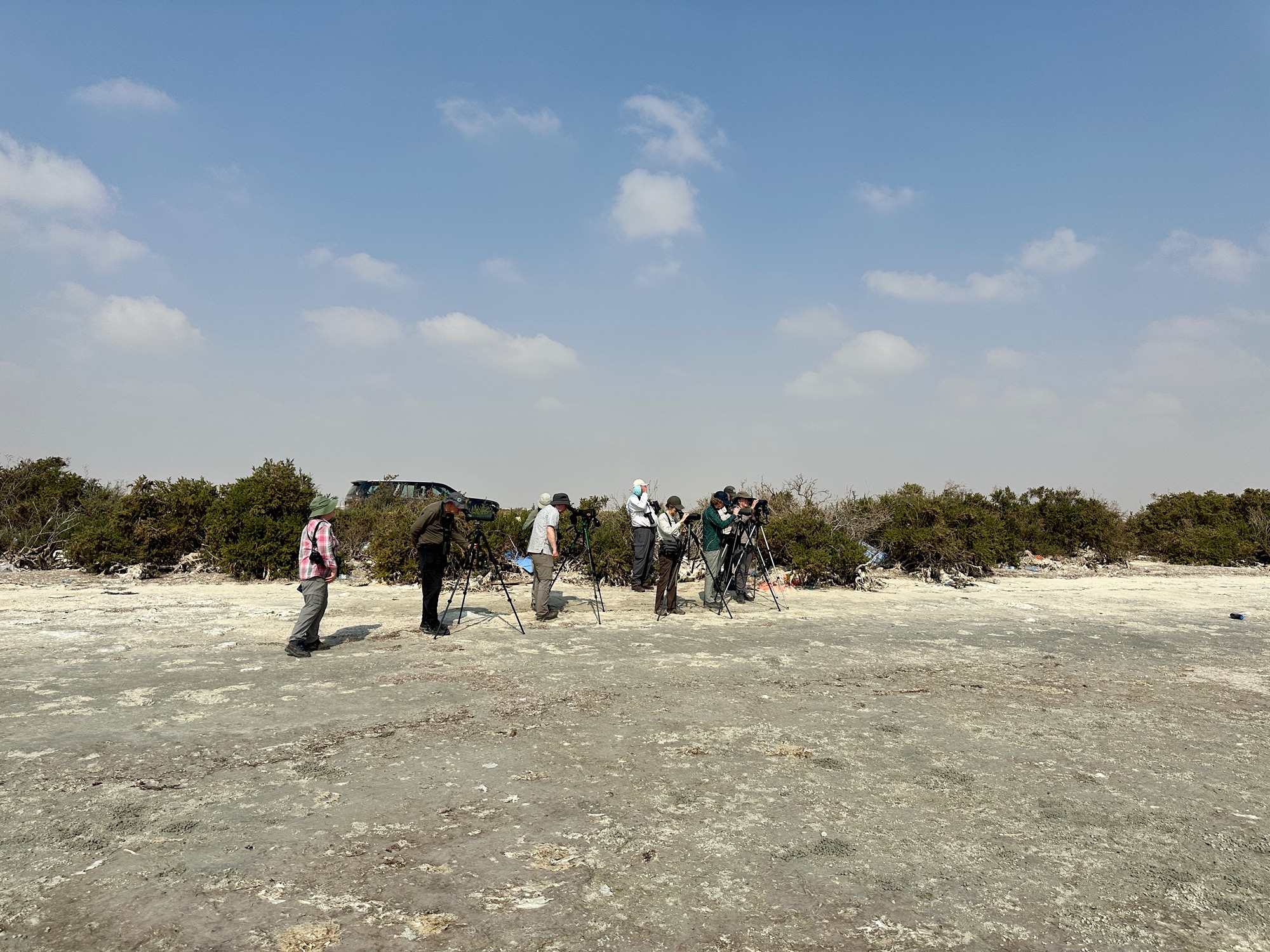 oman-birding