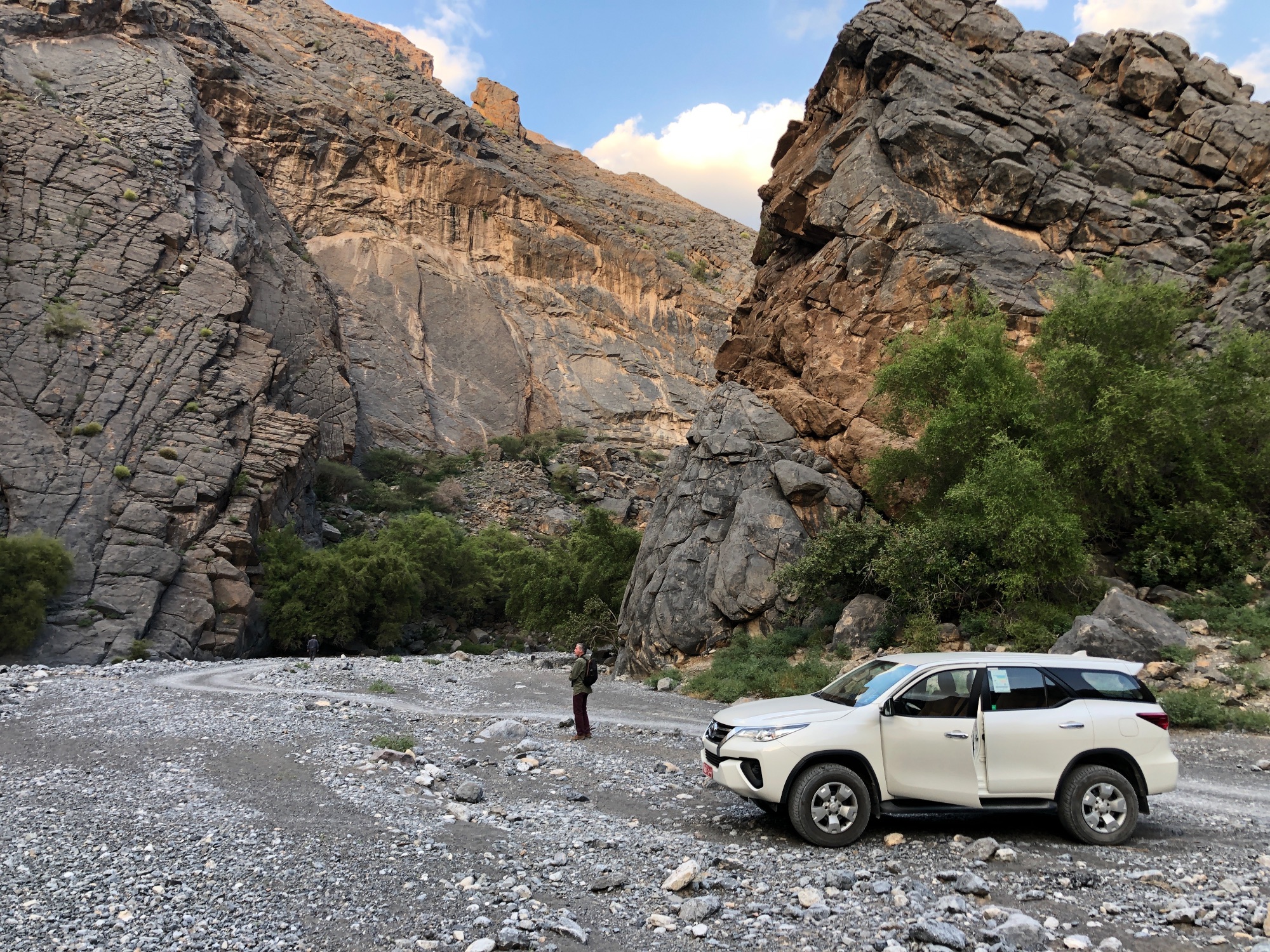 OMAN-BIRDING