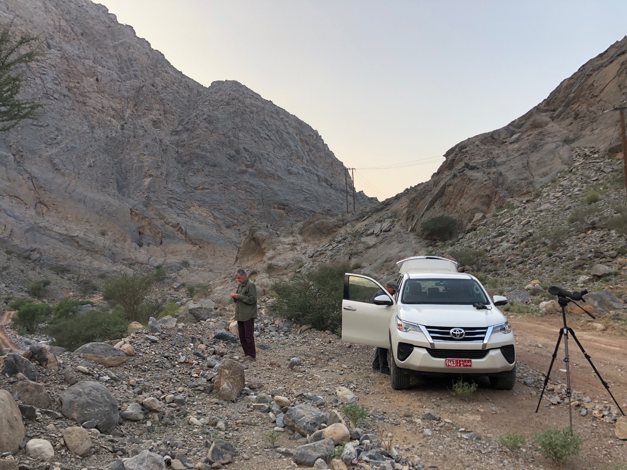 oman birding