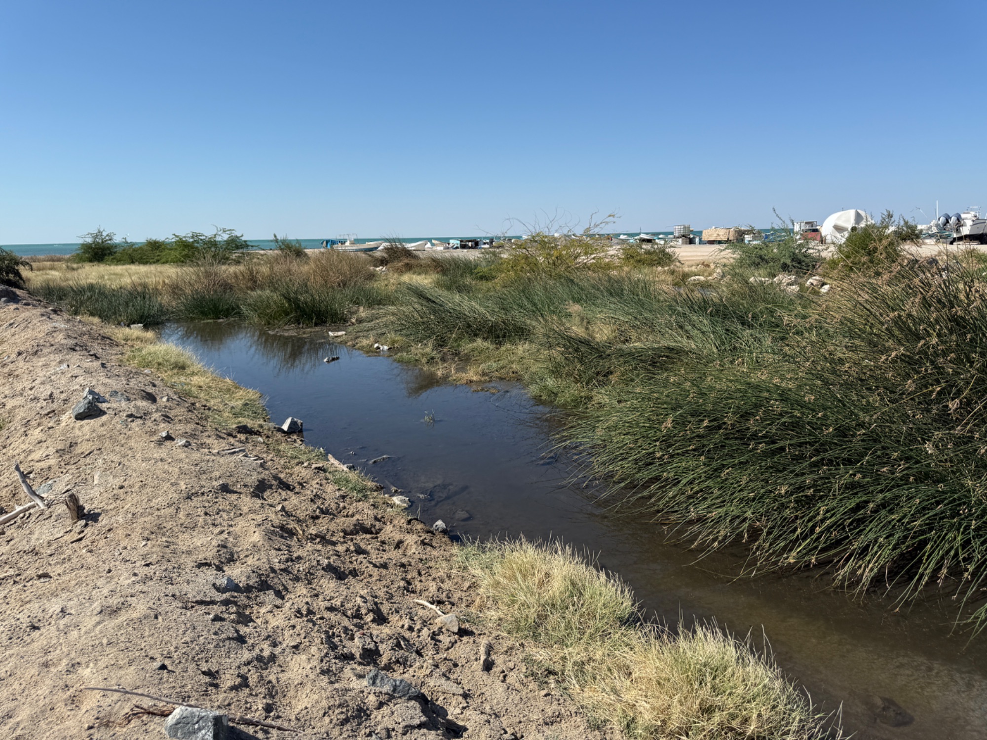 Hilf Coastal Wetland