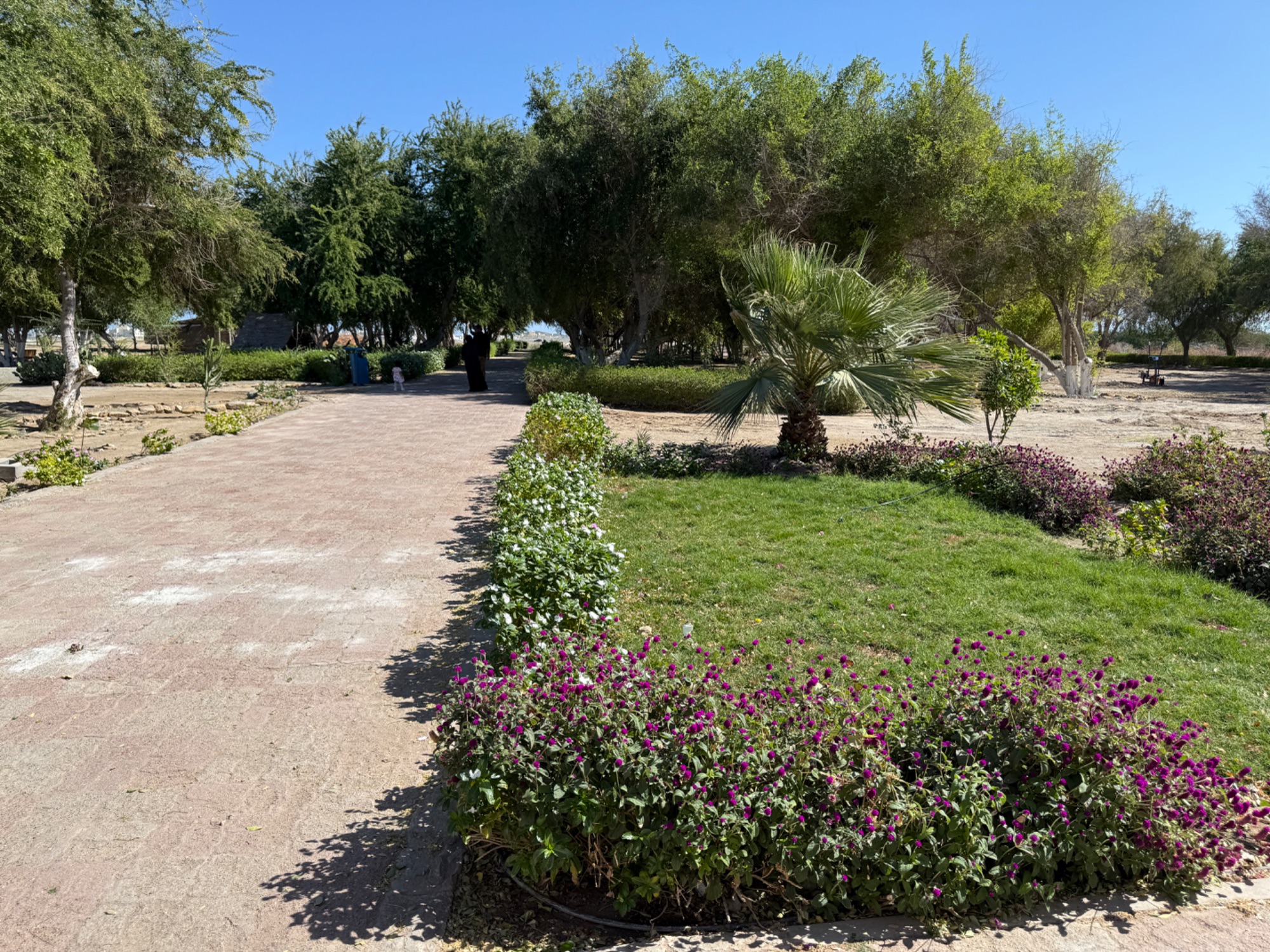 Shamkaiah Park, Masirah
