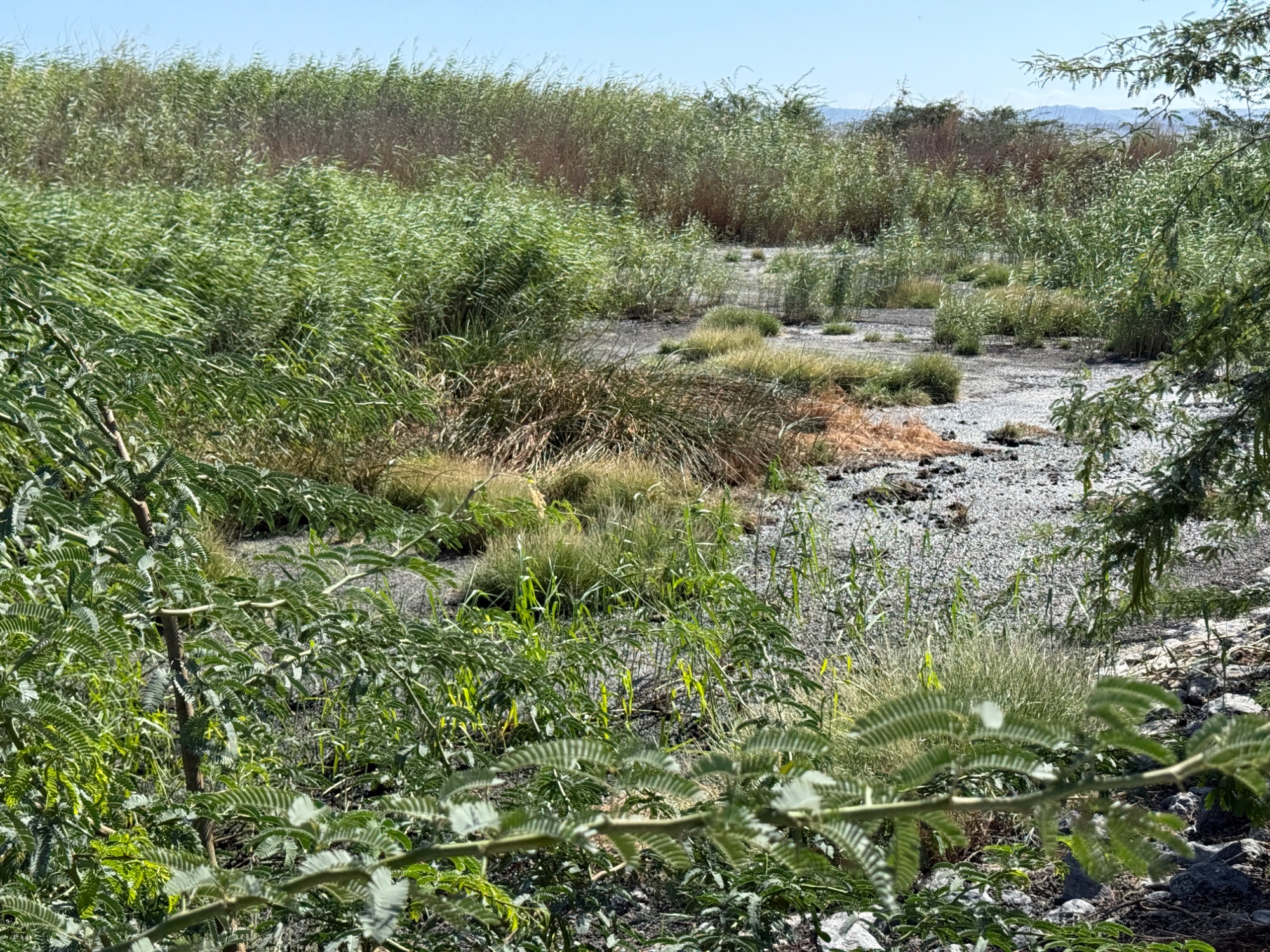 Hilf Sewage Works
