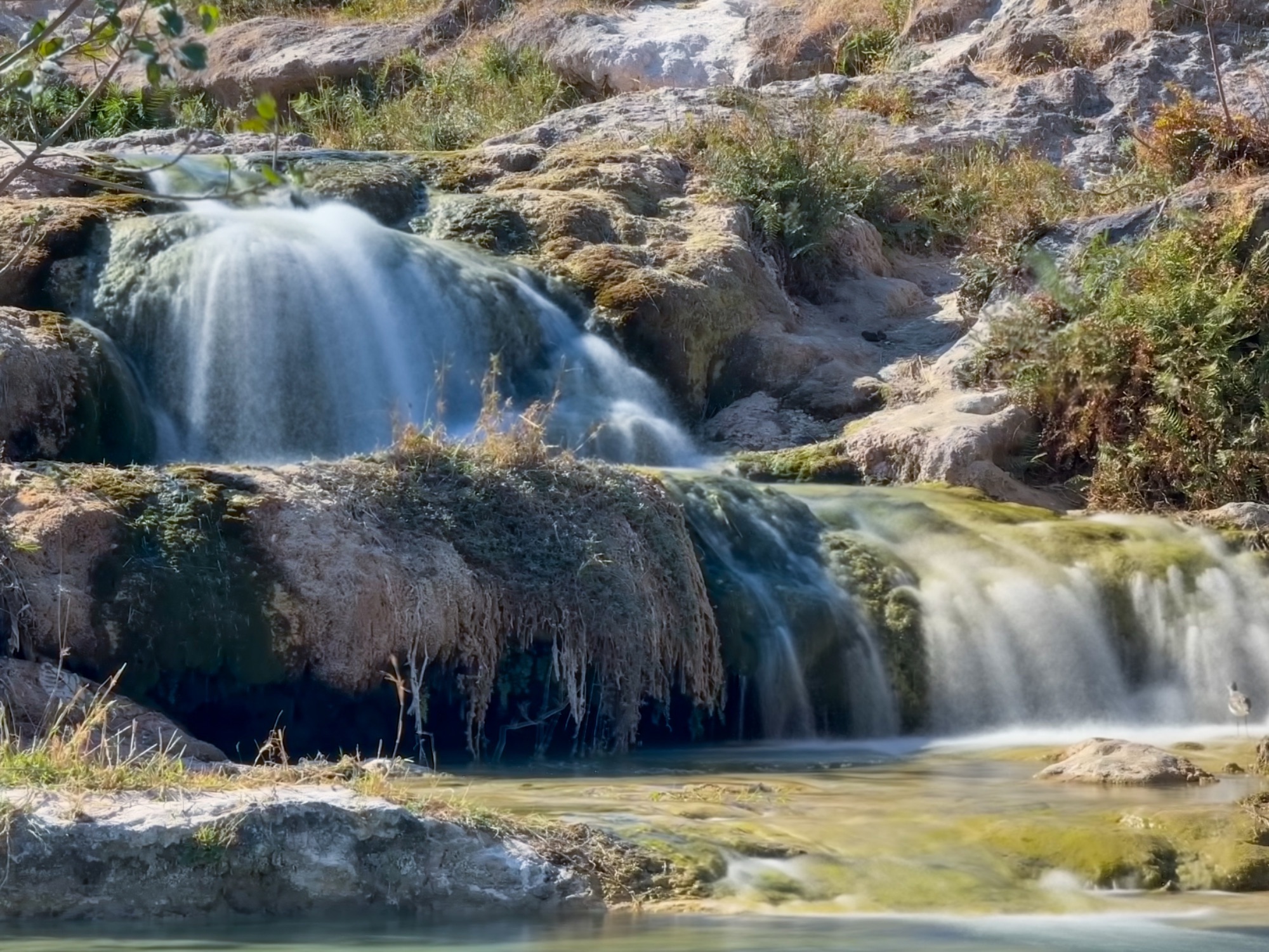 wadi darbat