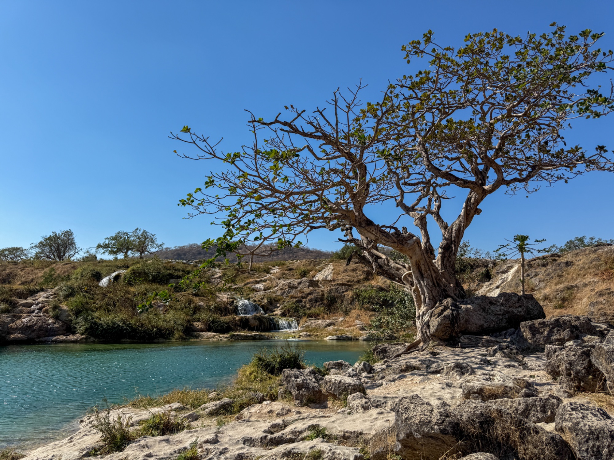 wadi darbat