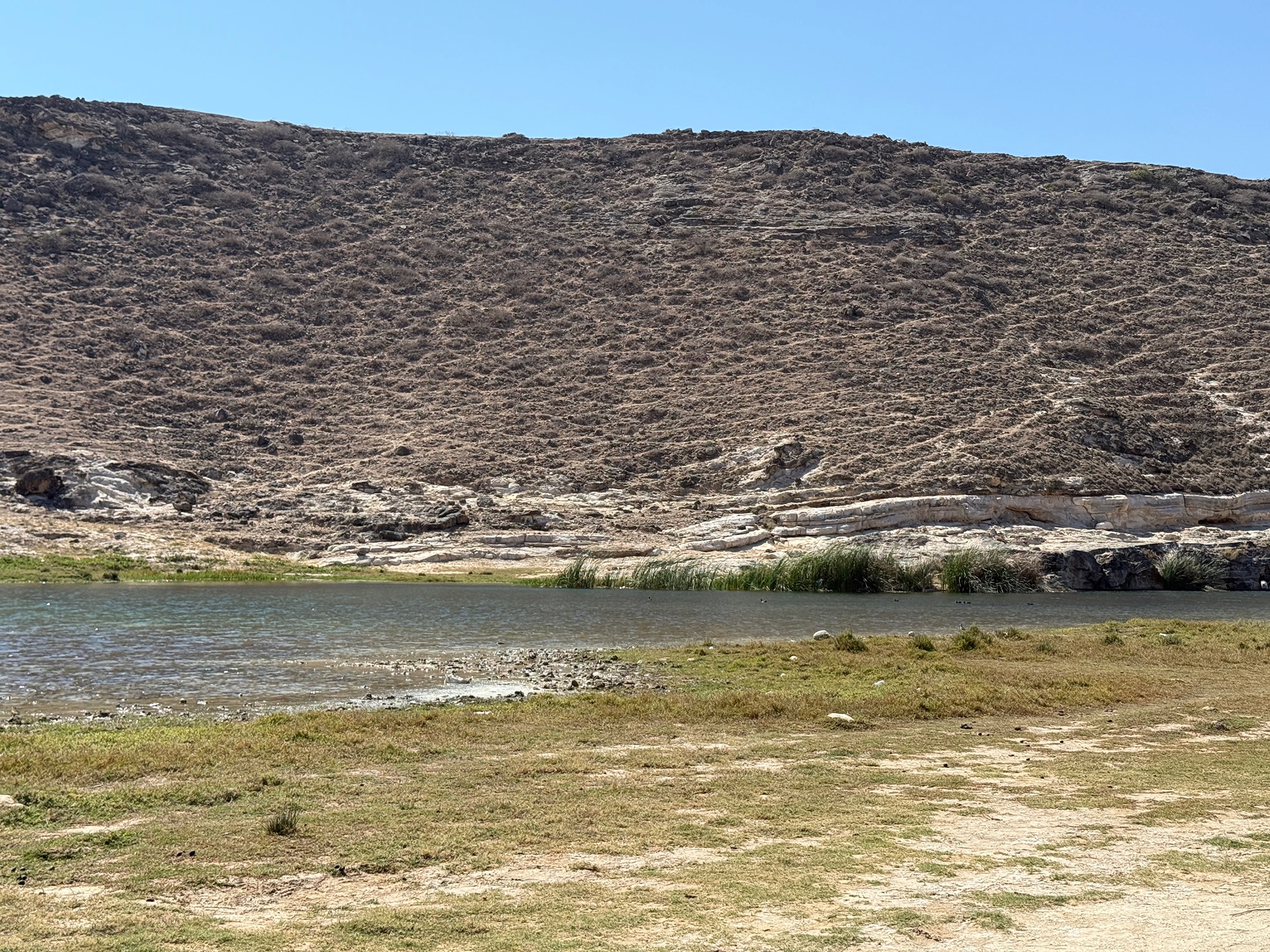 wadi ashawq nature reserve