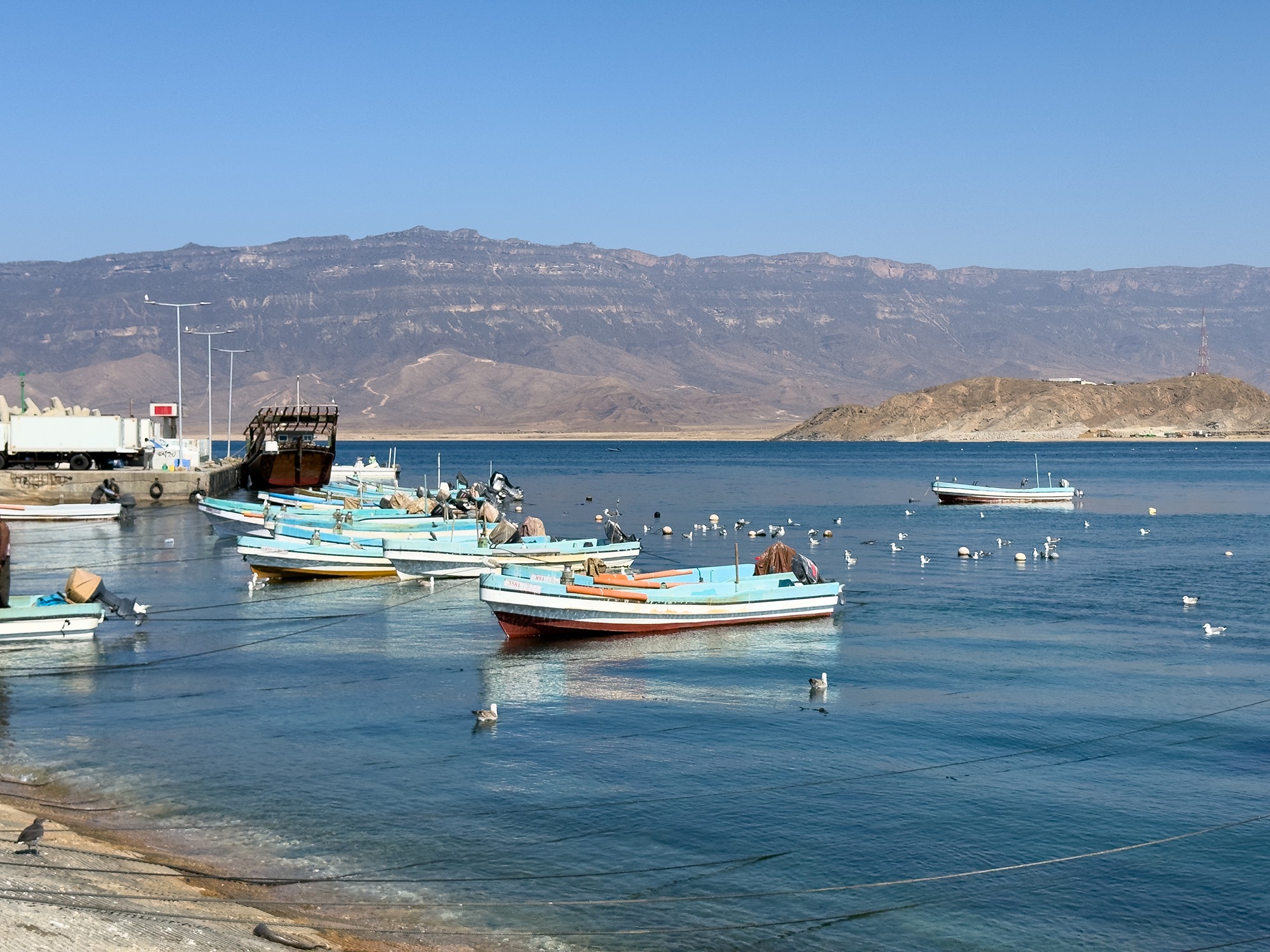mirbat harbour