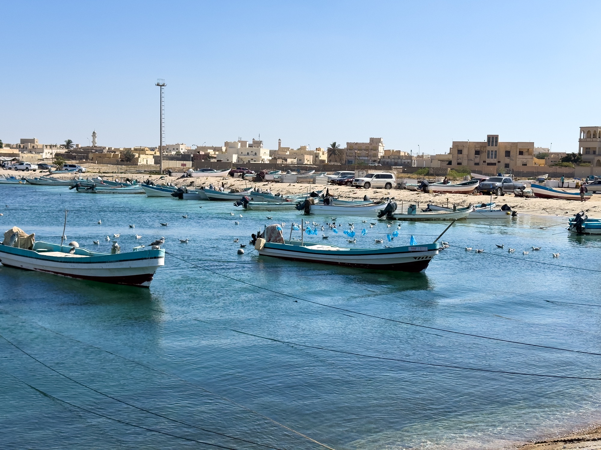 mirbat harbour