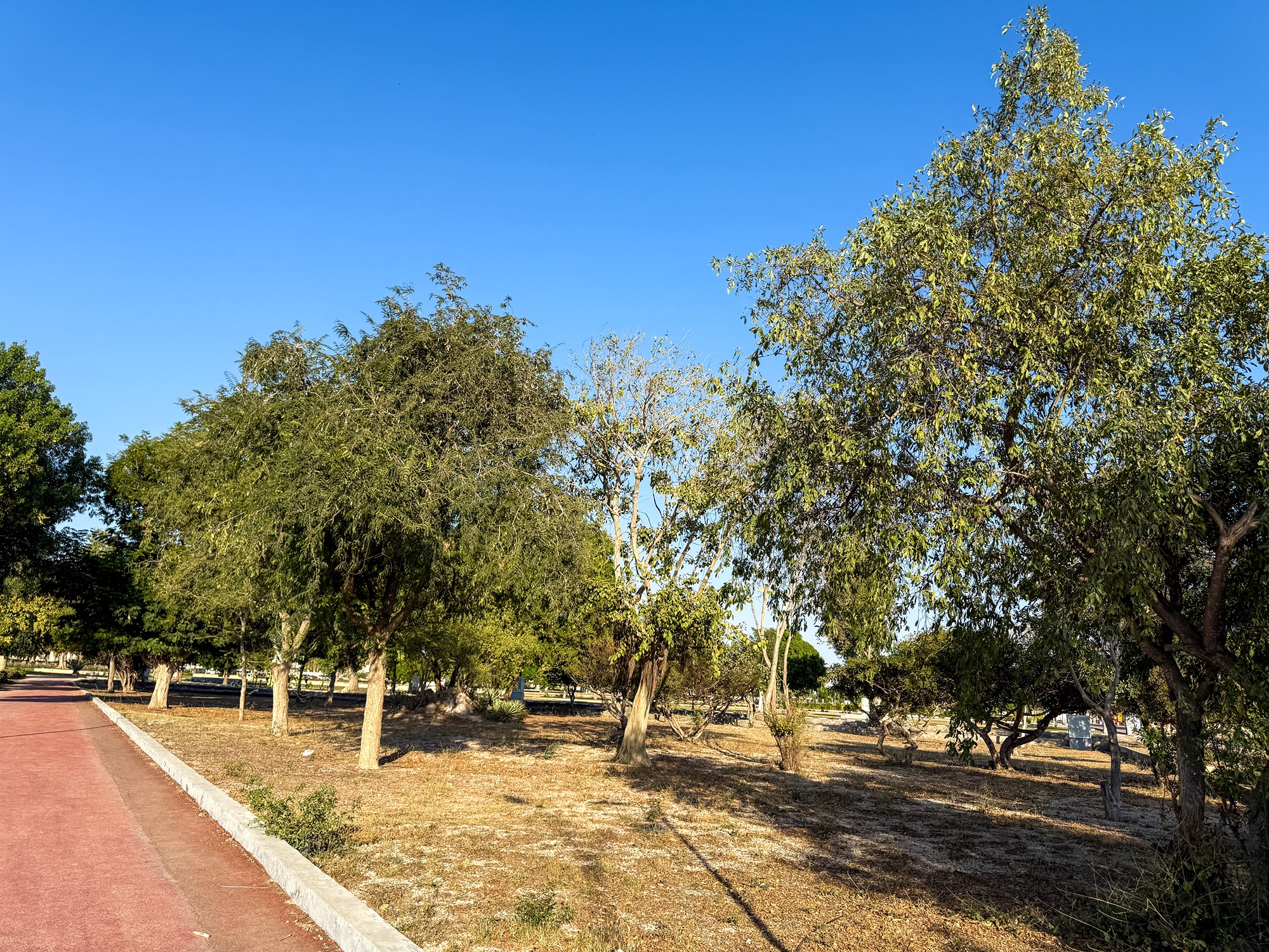 Salalah Public Park