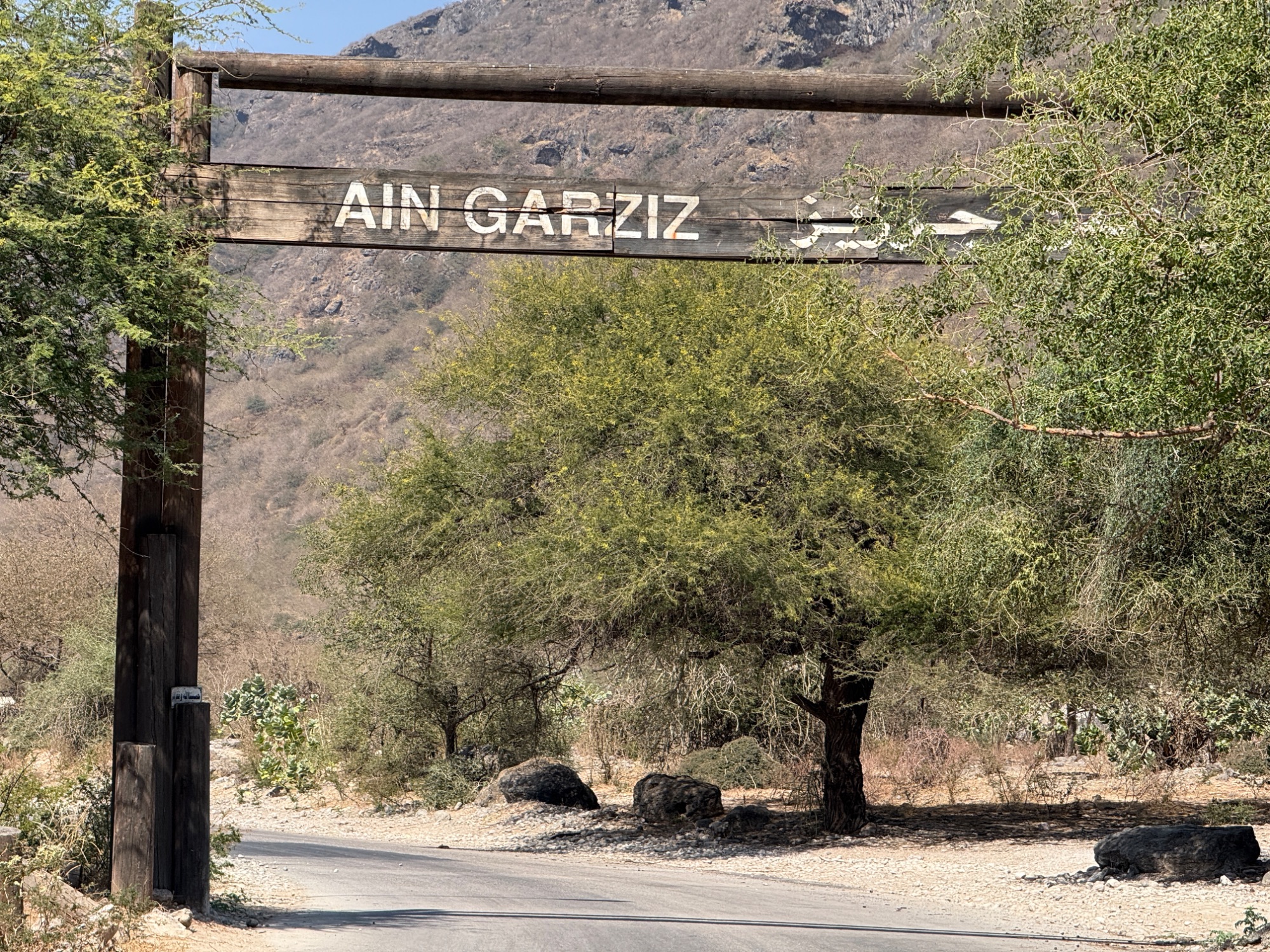 ayn garziz